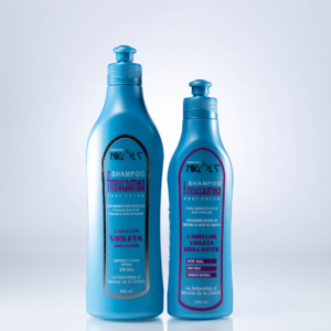 Shampoo Post Color Violeta Brillantes