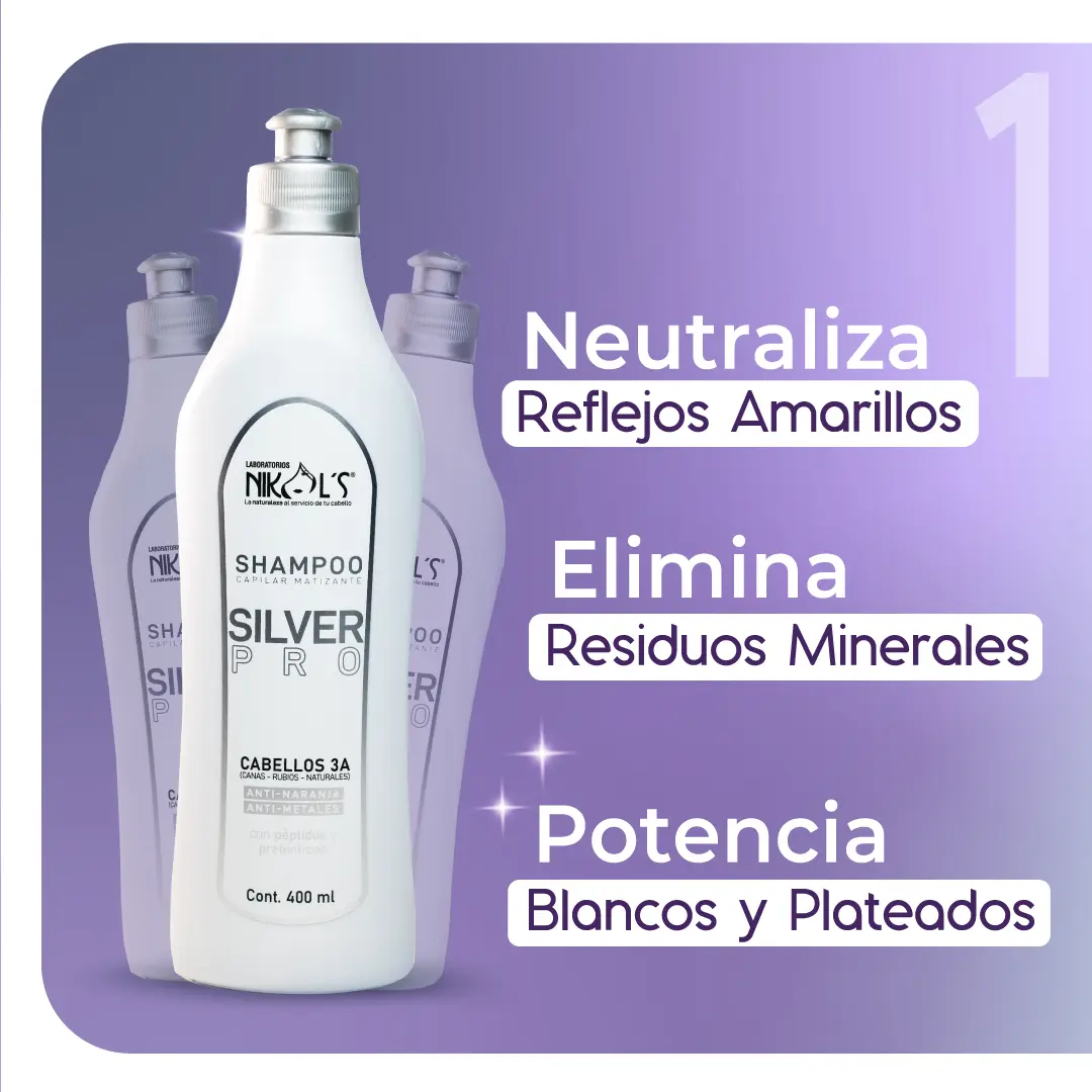 Kit Silver Pro - Image 2